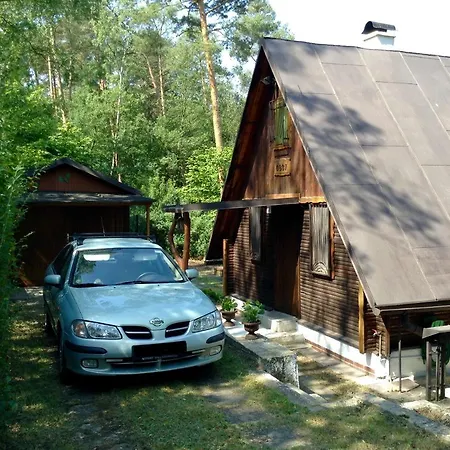 Holiday V Borovi