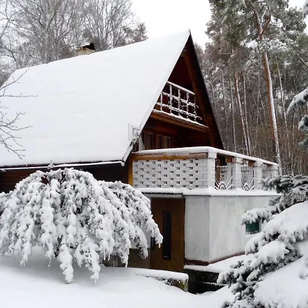 Holiday V Borovi 山林小屋