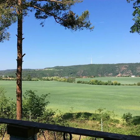 Holiday V Borovi